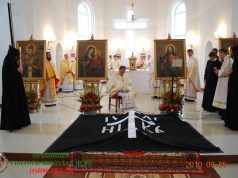 Довічна професія