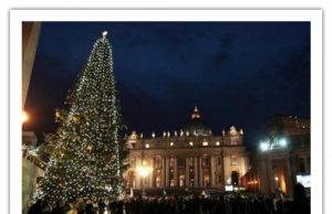 Доля різдвяної ялинки з України, подарованої Папі Венедиктові ХVІ