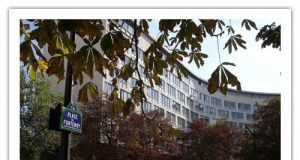 Перший Всесвітній день радіо