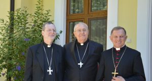 Кардинал Сандрі підбив підсумки візиту в Україну