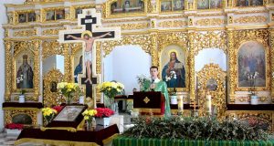 Квітна неділя в Осідку Провінції Св. Миколая